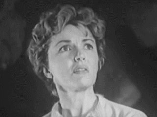 Incredible Petrified World