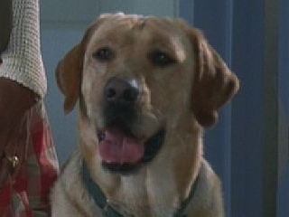 Dakota in Independence Day