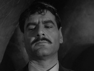 Hal Galili