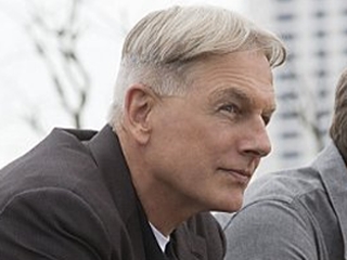 gibbs from ncis hair