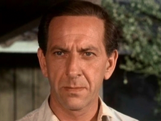 Roar from the Mountain