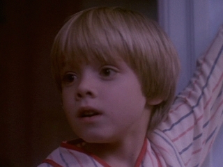 danny pintauro cujo