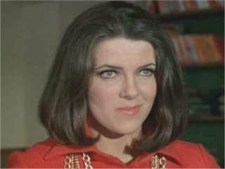 Hilary Tindall
