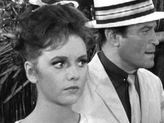 Little Island, Big Gun