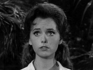 Good Night Sweet Skipper