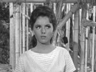 So Sorry, My Island Now