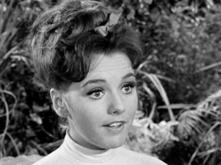 Diogenes, Won't You Please Go Home?