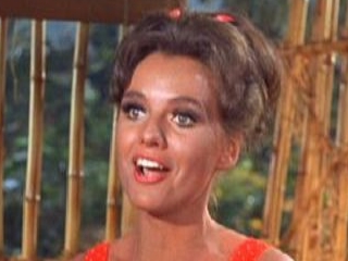 Don't Bug the Mosquitoes