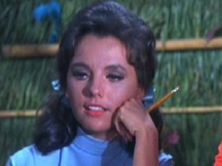 Will the Real Mr. Howell Please Stand Up?